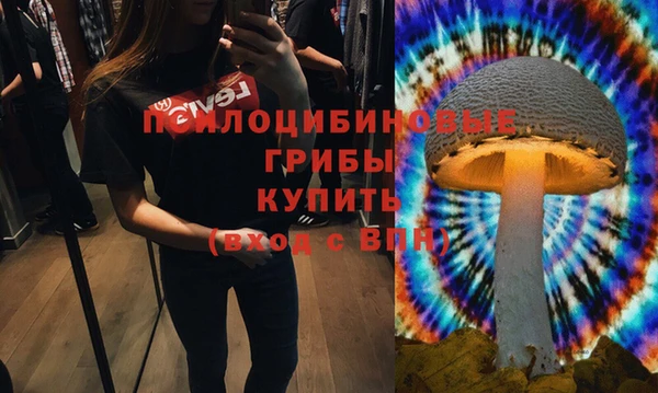 спайс Алексин