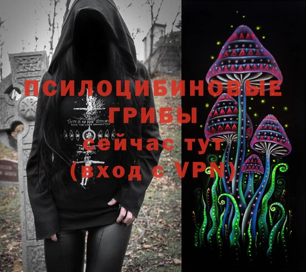 Альфа ПВП Алзамай
