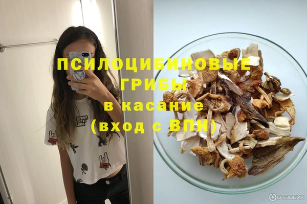 мяу мяу мука Михайлов